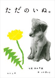 ただのいぬ。