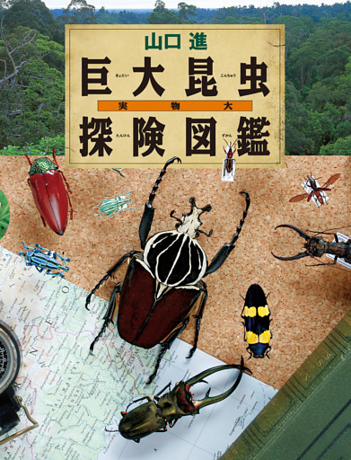 実物大巨大昆虫探険図鑑