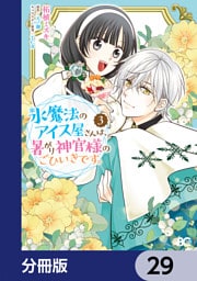 氷魔法のアイス屋さんは、暑がり神官様のごひいきです。【分冊版】　29