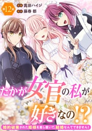 たかが女官の私が好きなの！？　婚約破棄された姫様を差し置いて、結婚なんてできません！12
