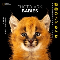 PHOTO ARK BABIES 動物の子どもたち 絶滅から動物を守る撮影プロジェクト