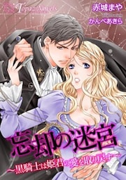 忘却の迷宮~黒騎士は姫君の愛を取り戻す~【書き下ろし・イラスト5枚入り】