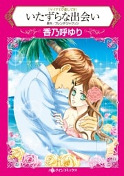いたずらな出会い〈マイアミで愛して IV〉