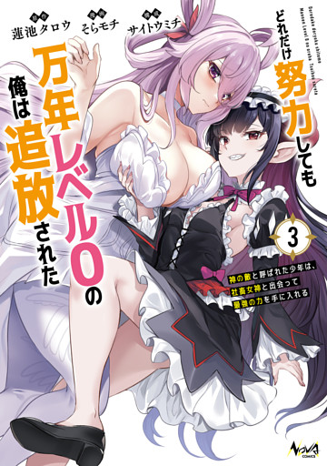 どれだけ努力しても万年レベル０の俺は追放された～神の敵と呼ばれた少年は、社畜女神と出会って最強の力を手に入れる～（ノヴァコミックス）３