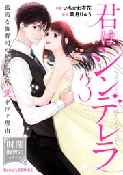 君はシンデレラ～孤高な御曹司が絶え間なく愛を注ぐ理由～【財閥御曹司シリーズ】3巻