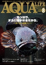アクアライフ ８月号