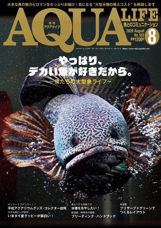 アクアライフ ８月号