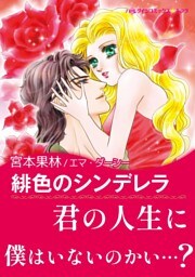 緋色のシンデレラ