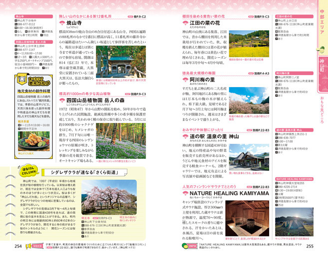 ほなけんCOLUMN　シダレザクラが連なる「さくら街道」