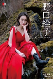 デジタル原色美女図鑑　野口絵子　BEYOND THE PEAK