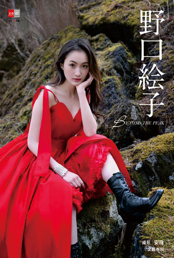 デジタル原色美女図鑑　野口絵子　BEYOND THE PEAK