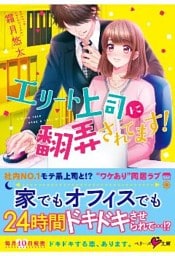 エリート上司に翻弄されてます！