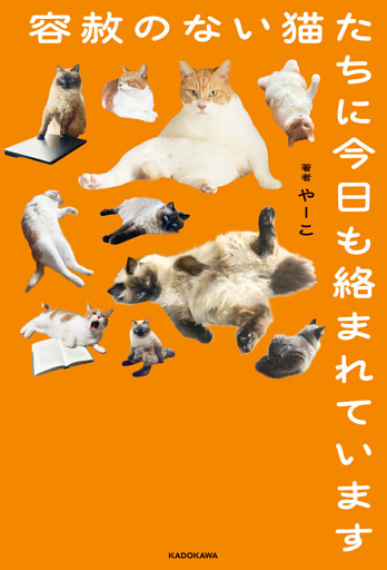 容赦のない猫たちに今日も絡まれています