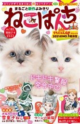 ねこぱんち No.185 猫結び号
