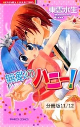 揺れる水　１　無敵のハニー！【分冊版11/12】