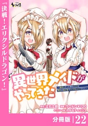 異世界メイドがやってきた～異邦人だった頃のメイドが現代の我が家でエッチなメイドさんに～【分冊版】（ノヴァコミックス）２２