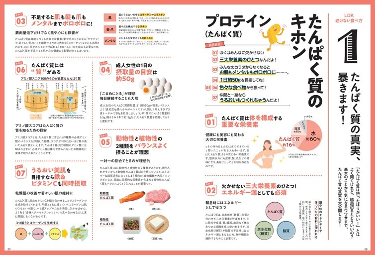 たんぱく質の真実、暴きます！