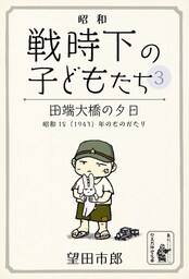 田端大橋の夕日