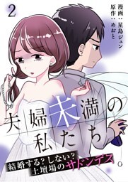 夫婦未満の私たち～結婚する？しない？土壇場のサドンデス２