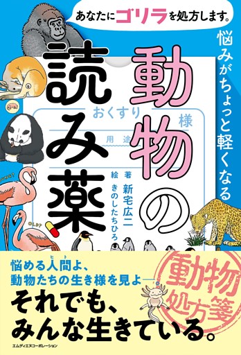 あなたにゴリラを処方します。　悩みがちょっと軽くなる動物の読み薬