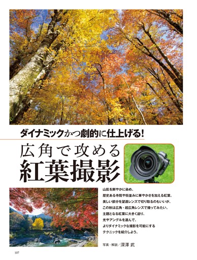【テクニック】広角で攻める紅葉撮影