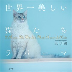 世界一美しい猫たち　ラパーマ～LaPerms: The World’s Most Beautiful Cats～