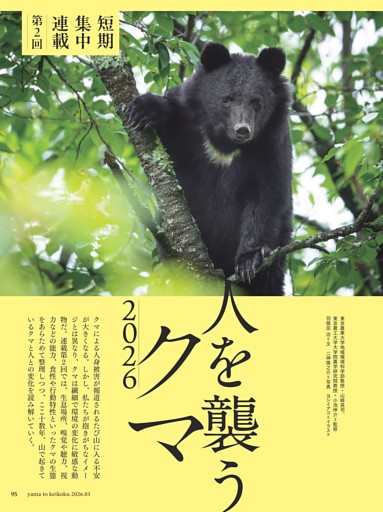【短期集中連載】人を襲うクマ2026