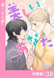 美しいあなた【分冊版】38（ビアンココミックス）