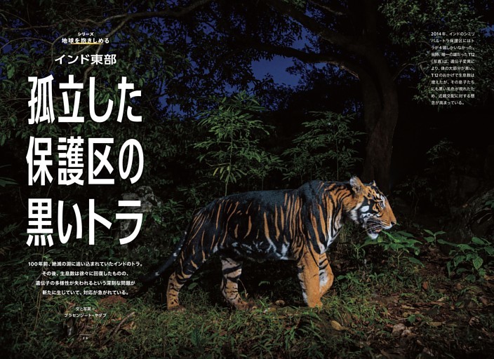 インド東部 黒いトラはなぜ？
