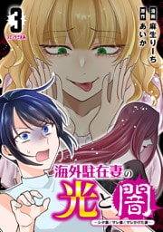 海外駐在妻の光と闇～シタ妻とサレ妻とサレかけた妻～（３）