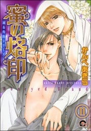 凍る灼熱（分冊版）　【第11話】