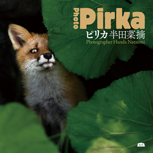 ピリカ Photo Pirka