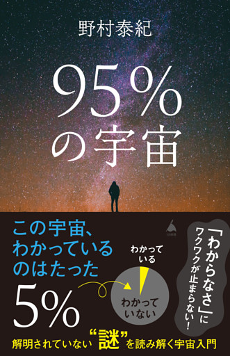 95％の宇宙