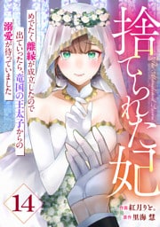 Berry’sFantasy捨てられた妃　めでたく離縁が成立したので出ていったら、竜国の王太子からの溺愛が待っていました14巻
