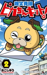 ピカちんキット！（２）