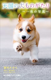 小学館ジュニア文庫　天国の犬ものがたり～一枚の写真～