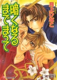 暗くなるまでまって