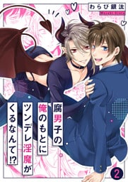 腐男子の俺のもとにツンデレ淫魔がくるなんて！？２