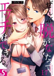ぜんぶ脱がなくたって、エッチはできる。１７