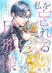 私を忘れる旦那様～七日の恋を何度でも、またあなたと３