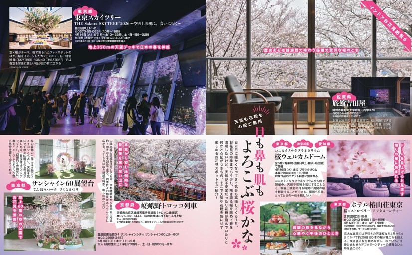 インドアお花見絶景6 目も鼻も肌もよろこぶ桜かな