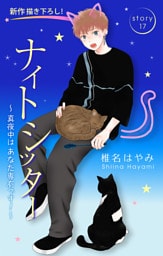 Love Silky　ナイトシッター　～真夜中は あなた専有です！～　story17