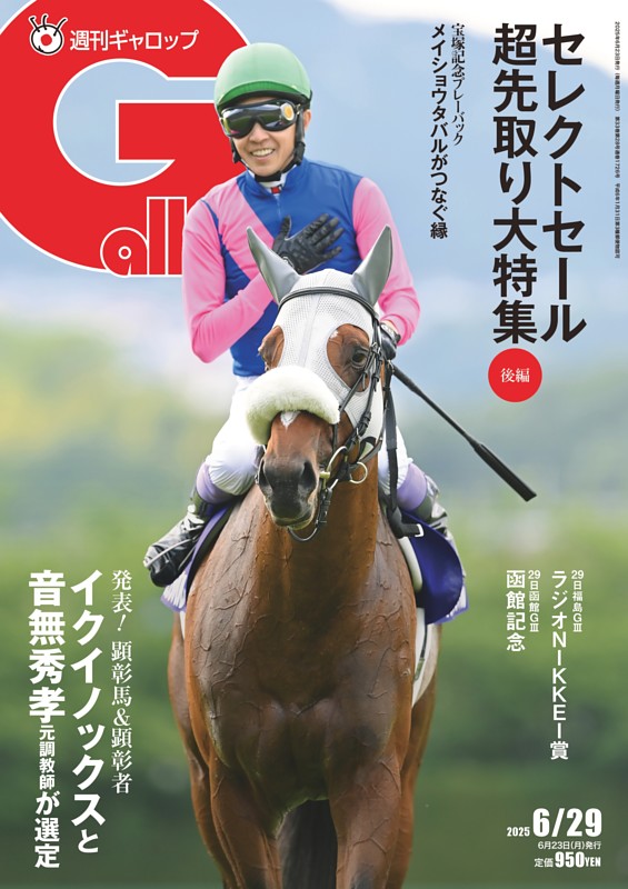 週刊Gallop（ギャロップ） 臨時増刊 丸ごとPOG 2024～2025 (発売