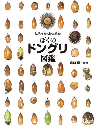 ちしきのぽけっと