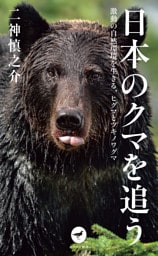 ヤマケイ新書 日本のクマを追う 激動の自然環境を生きる、ヒグマとツキノワグマ