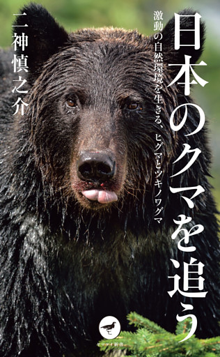 ヤマケイ新書 日本のクマを追う 激動の自然環境を生きる、ヒグマとツキノワグマ