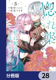 惚れ薬イベントが私に起きてしまいました【分冊版】　28