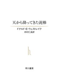 天から降ってきた泥棒