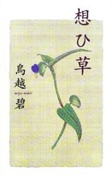想ひ草