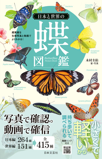 日本と世界の蝶図鑑